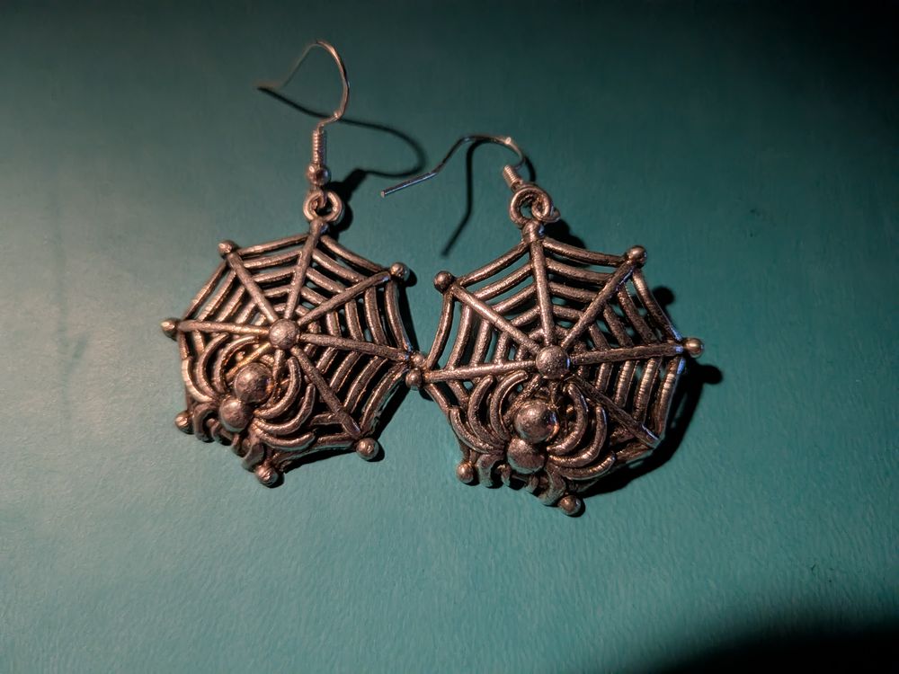 Spider and web earrings 
