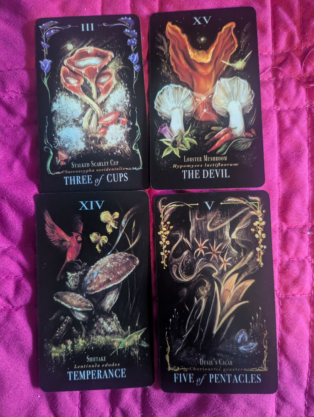 Celtics cross tarot reading